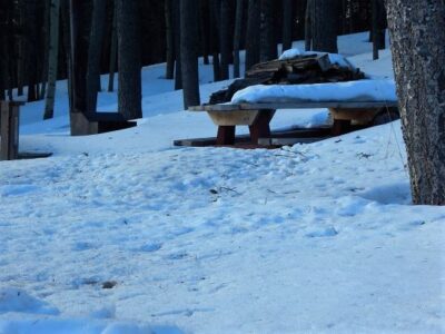 Winter Weather Time Warp Image